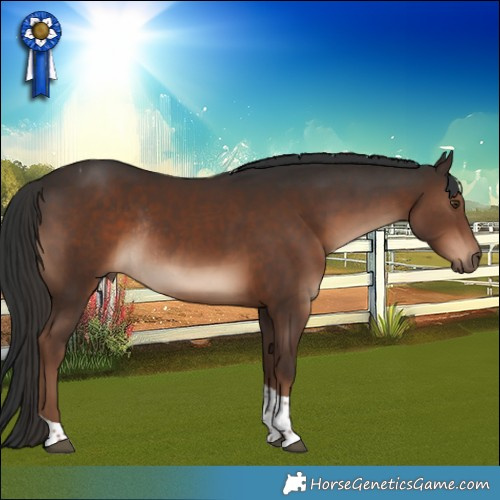 Horse Color:Liver Chestnut Tobiano Rabicano 