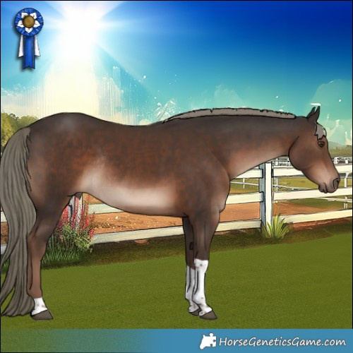 Horse Color:Liver Chestnut Mushroom Tobiano Rabicano