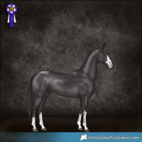 Horse Color:Smoky Black Rabicano 