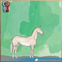 Horse Color:Cremello Dun Rabicano Brindle