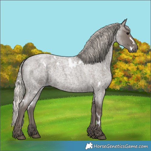 Horse Color:White Spotted Silver Blue Roan 