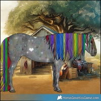 Horse Color:Painted White Spotted Midnight Buckskin Ice Onyx 