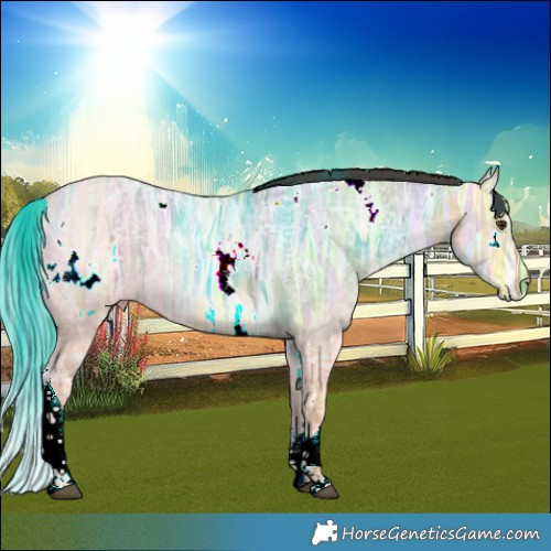 Horse Color:White Spotted Buckskin Ice Dun 