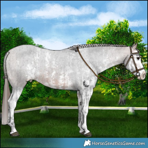 Horse Color:Bay Sabino Splash Varnish  and Bay Sabino Splash Varnish 