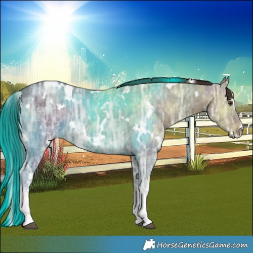 Horse Color:White Spotted Liver Chestnut Ice 