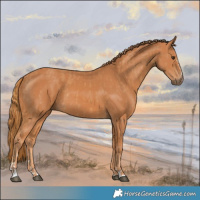 Horse Color:Chestnut and Chestnut