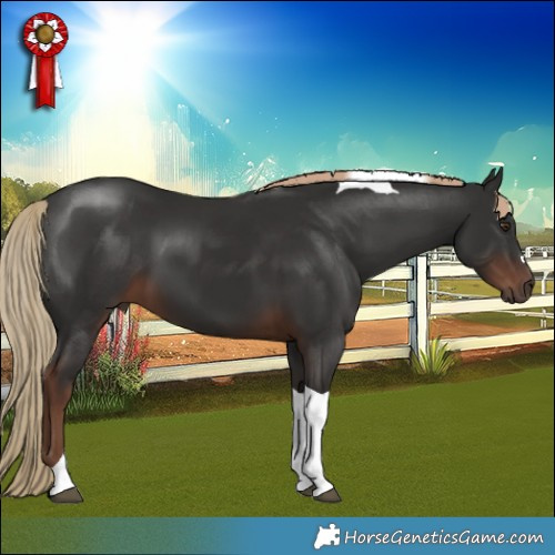 Horse Color:Liver Chestnut Tobiano 