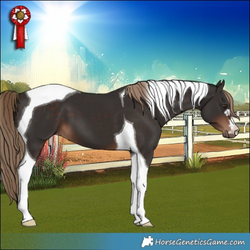 Horse Color:Liver Chestnut Tobiano 
