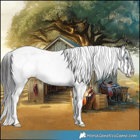 Horse Color:White Spotted Smoky Black Ice Splash 