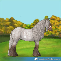 Horse Color:White Spotted Silver Blue Roan 