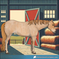 Horse Color:Red Roan 