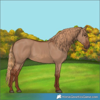 Horse Color:Red Dun