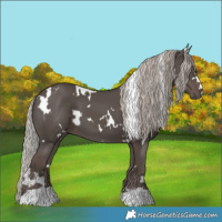 Horse Color:White Spotted Silver Black 