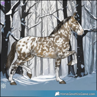 Horse Color:Buckskin Dun Splash Blanket 