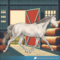 Horse Color:Perlino 