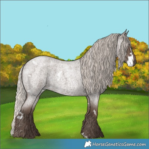 Horse Color:White Spotted Silver Blue Roan 