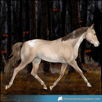 Horse Color:White Spotted Liver Red Dun Snowdrop Rabicano