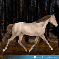 Horse Color:White Spotted Bay Pearl Dun Tobiano Rabicano 
