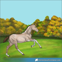 Horse Color:Bay Snowdrop Pearl Dun Tobiano Varnish Rabicano 
