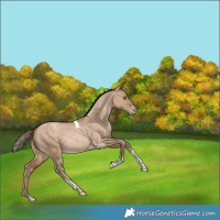 Horse Color:Brown Pearl Dun Tobiano Rabicano 