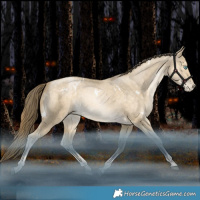 Horse Color:White Spotted Bay Snowdrop Dun Rabicano 