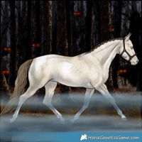 Horse Color:Brown Snowdrop Pearl Dun Tobiano Rabicano