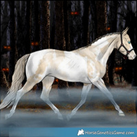 Horse Color:White Spotted Bay Snowdrop Dun Tobiano Rabicano 