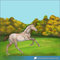 Horse Color:White Spotted Liver Red Dun Pearl Rabicano 