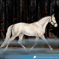 Horse Color:White Spotted Liver Red Dun Snowdrop Pearl Rabicano