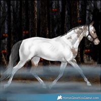 Horse Color:White Spotted Bay Dun Tobiano Appaloosa Rabicano