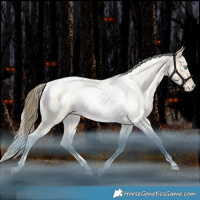 Horse Color:Brown Snowdrop Pearl Dun Tobiano Blanket Rabicano 