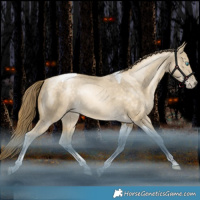 Horse Color:Bay Snowdrop Dun Tobiano Rabicano