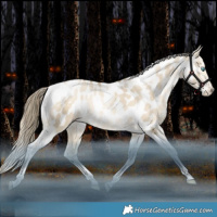 Horse Color:Grullo Snowdrop Pearl Tobiano Near Leopard Rabicano 