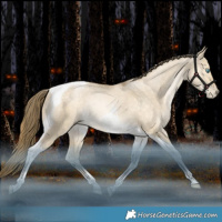 Horse Color:Brown Snowdrop Pearl Dun Tobiano Rabicano