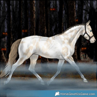 Horse Color:Grullo Snowdrop Pearl Tobiano Near Leopard Rabicano 
