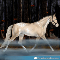Horse Color:White Spotted Liver Red Dun Snowdrop Pearl Rabicano
