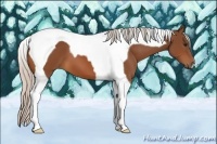 Horse Color:Silver Bay Tobiano