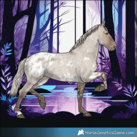 Horse Color:White Spotted Silver Grullo Roan Blanket 