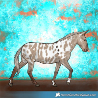 Horse Color:Liver Red Dun Near Leopard 