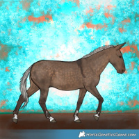 Horse Color:Silver Brown Dun 