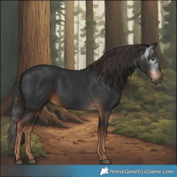 Horse Color:Gray White Spotted Liver Chestnut 