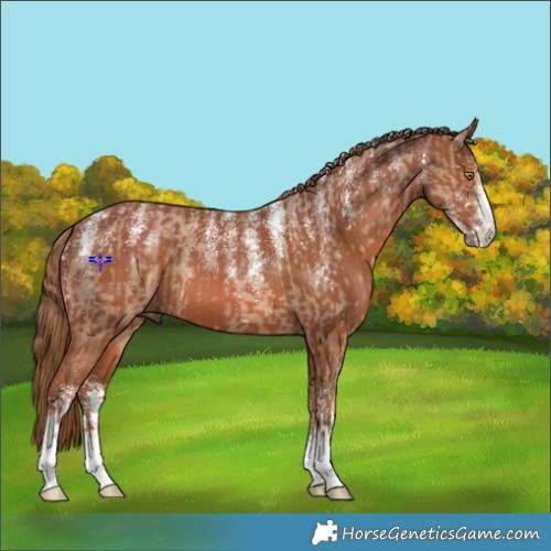 Horse Color:Powder White Red Dun  and Powder White Chestnut 