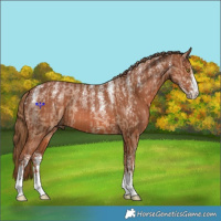 Horse Color:Powder White Red Dun  and Powder White Chestnut 