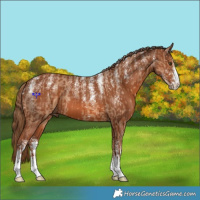 Horse Color:Powder White Red Dun  and Powder White Chestnut 