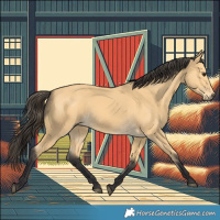 Horse Color:Buckskin 