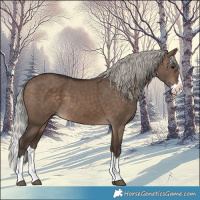 Horse Color:Silver Brown Dun Splash 
