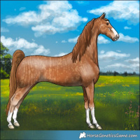 Horse Color:Chestnut  and Chestnut 