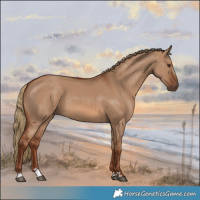 Horse Color:Red Dun 