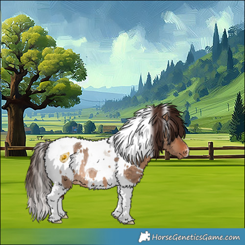 Horse Color:White Spotted Bay Dun Tobiano Varnish Rabicano