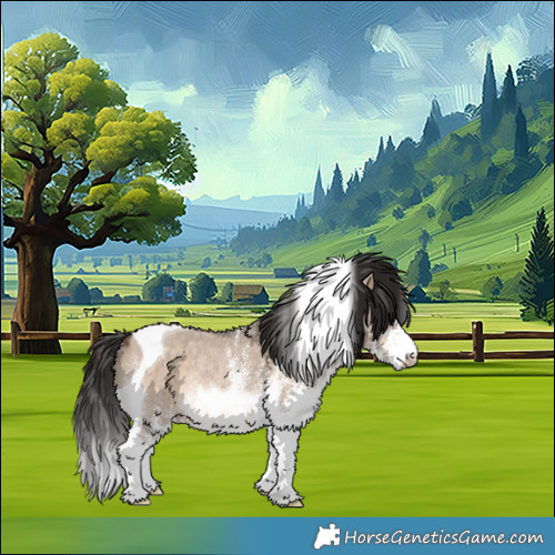 Horse Color:White Spotted Bay Dun Tobiano Rabicano